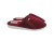 bordo.png
