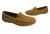 2  camel.png