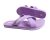 3  j. fiolet.png